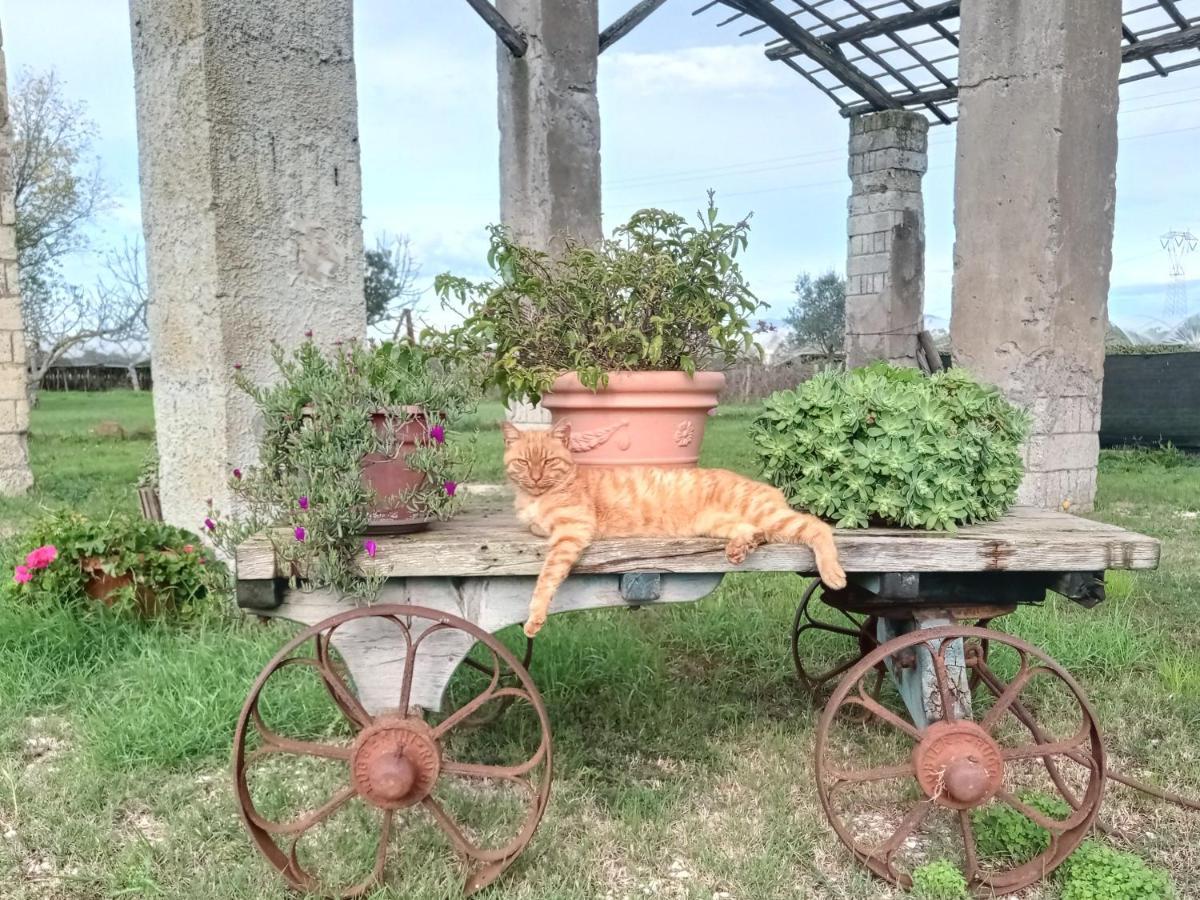 Il Casale Di Giulia Di Bed & Breakfast 2*