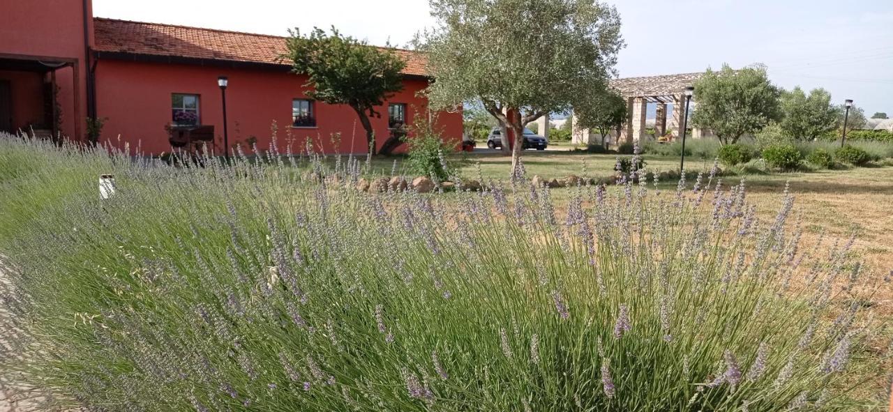 Bed & Breakfast Il Casale Di Giulia Di