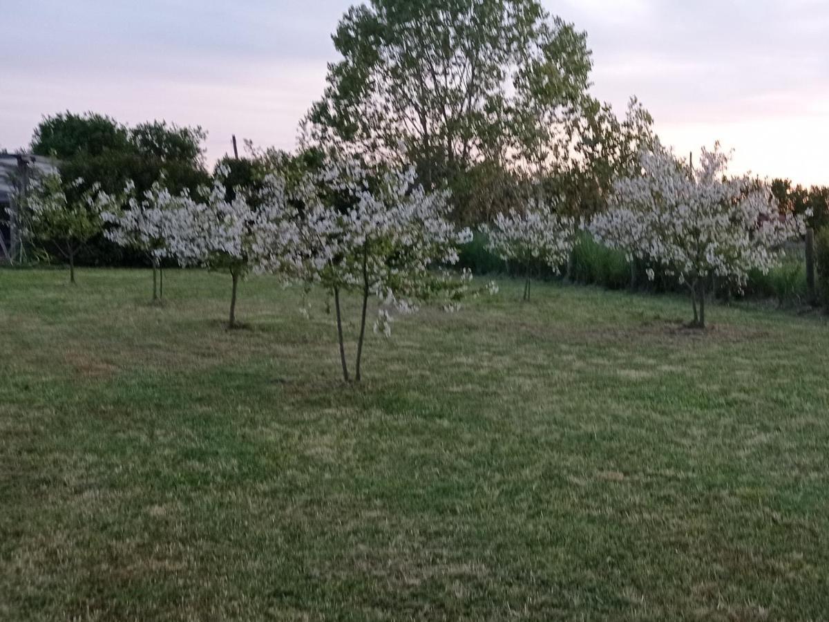 Il Casale Di Giulia Di Bed & Breakfast 2*