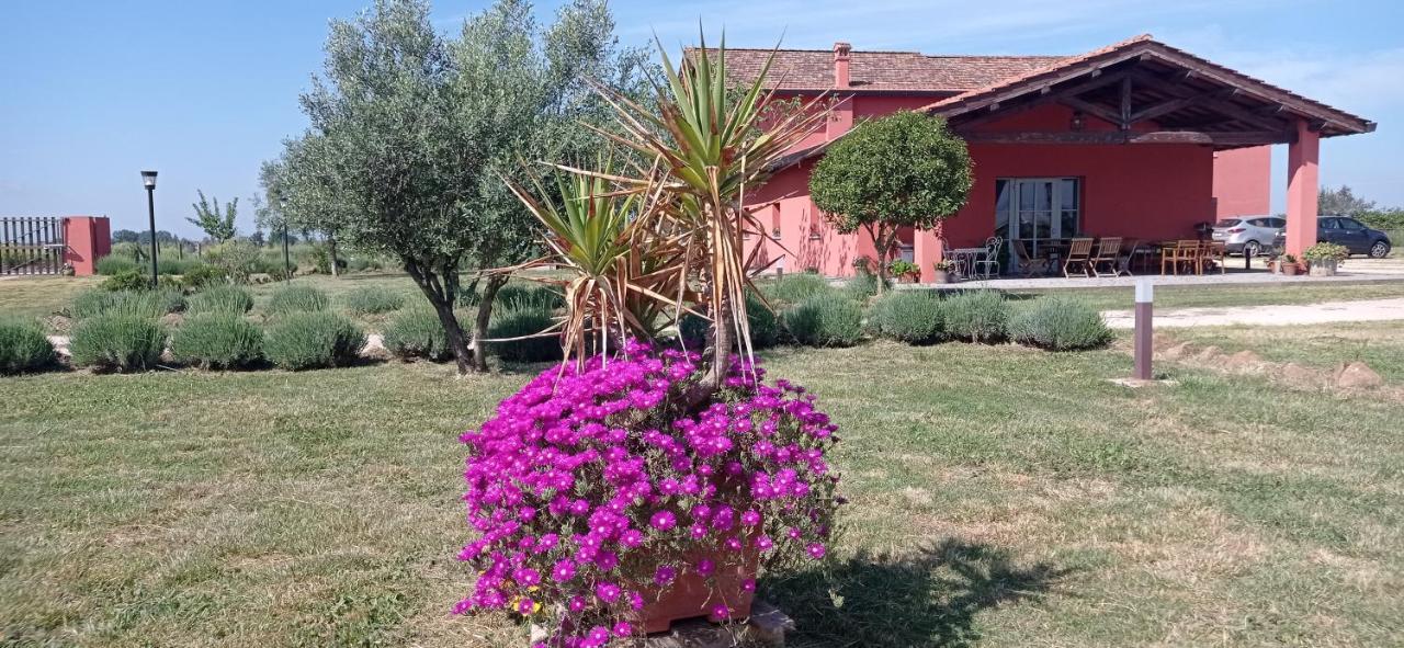 Il Casale Di Giulia Di Bed & Breakfast 2*