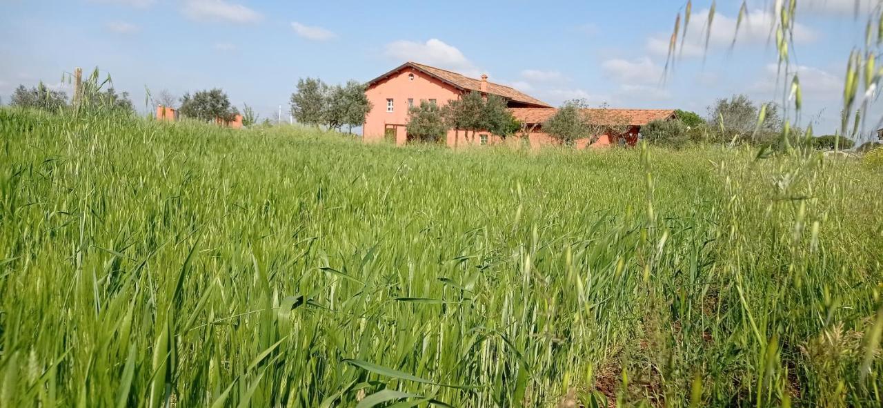 Bed & Breakfast Il Casale Di Giulia Di 2*