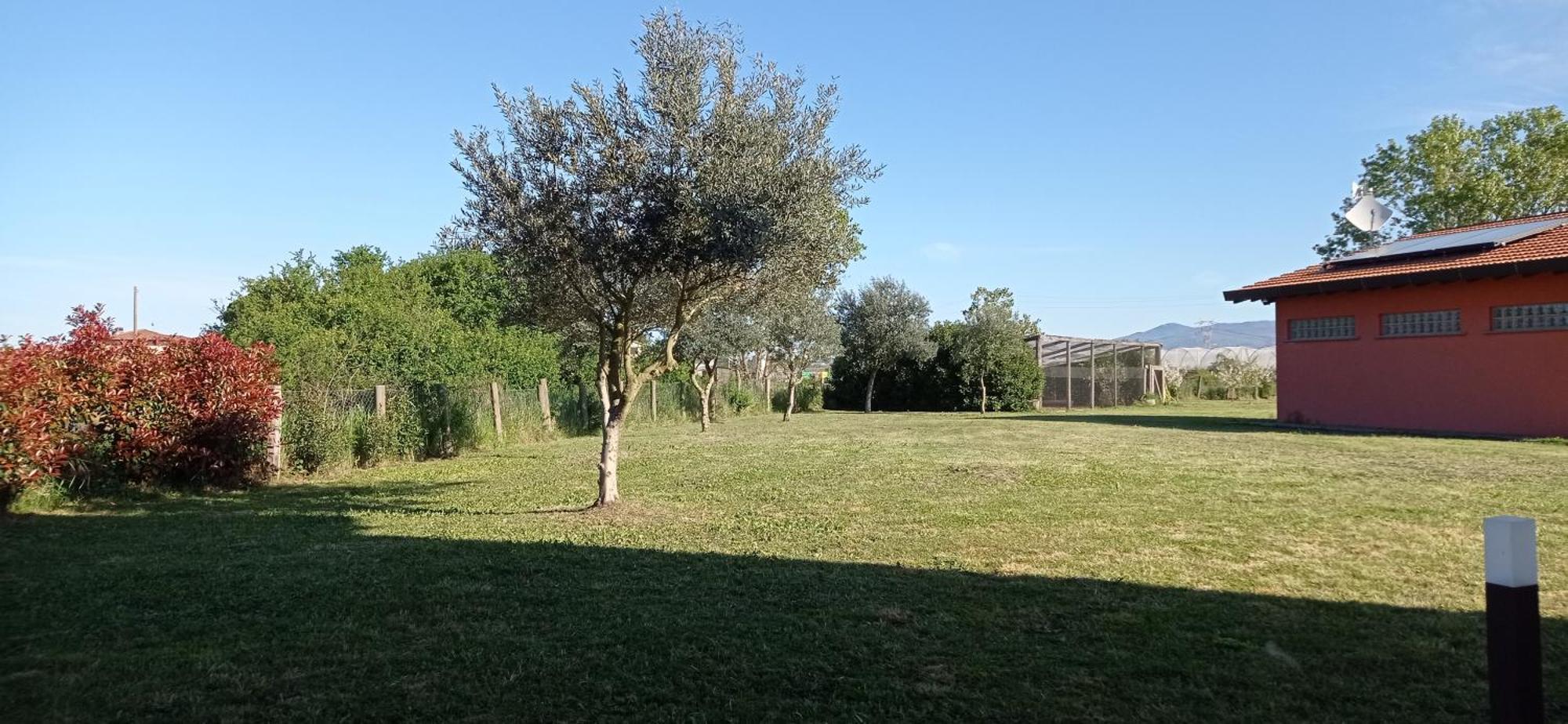 Il Casale Di Giulia Di Bed & Breakfast Aprilia