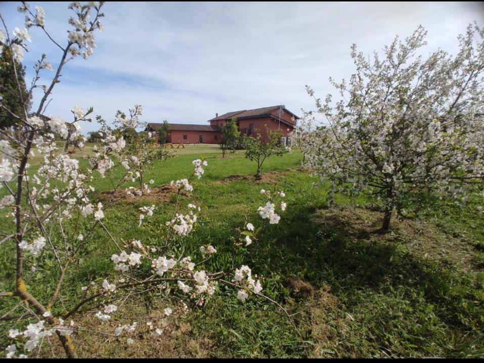 Il Casale Di Giulia Di Bed & Breakfast Aprilia